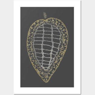 Cacao Pod by Matthew Goetzka Posters and Art